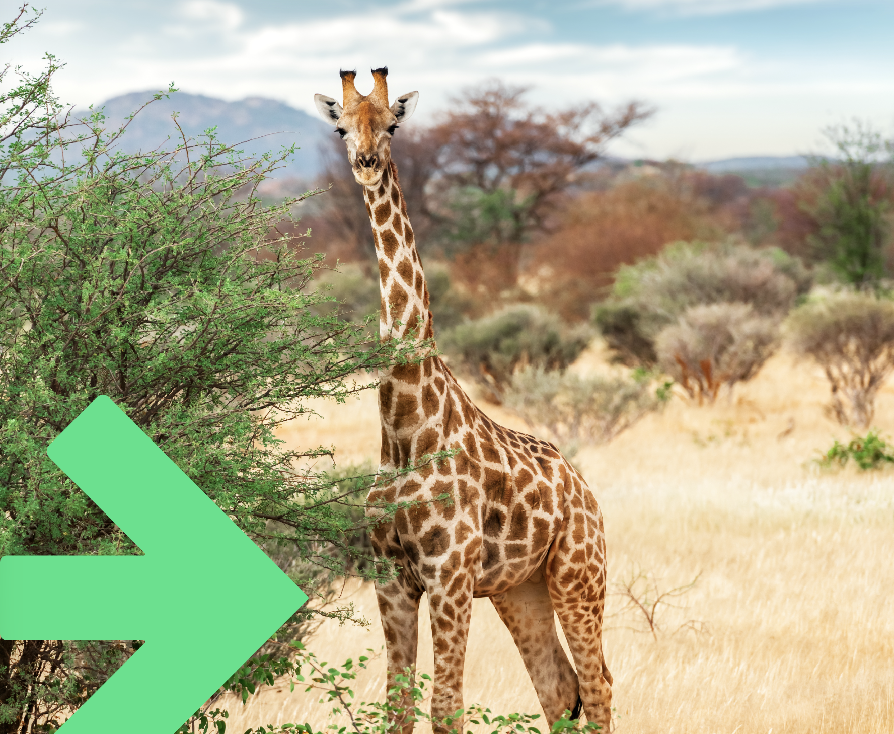 Feedback Training - De Kracht van Dialoog