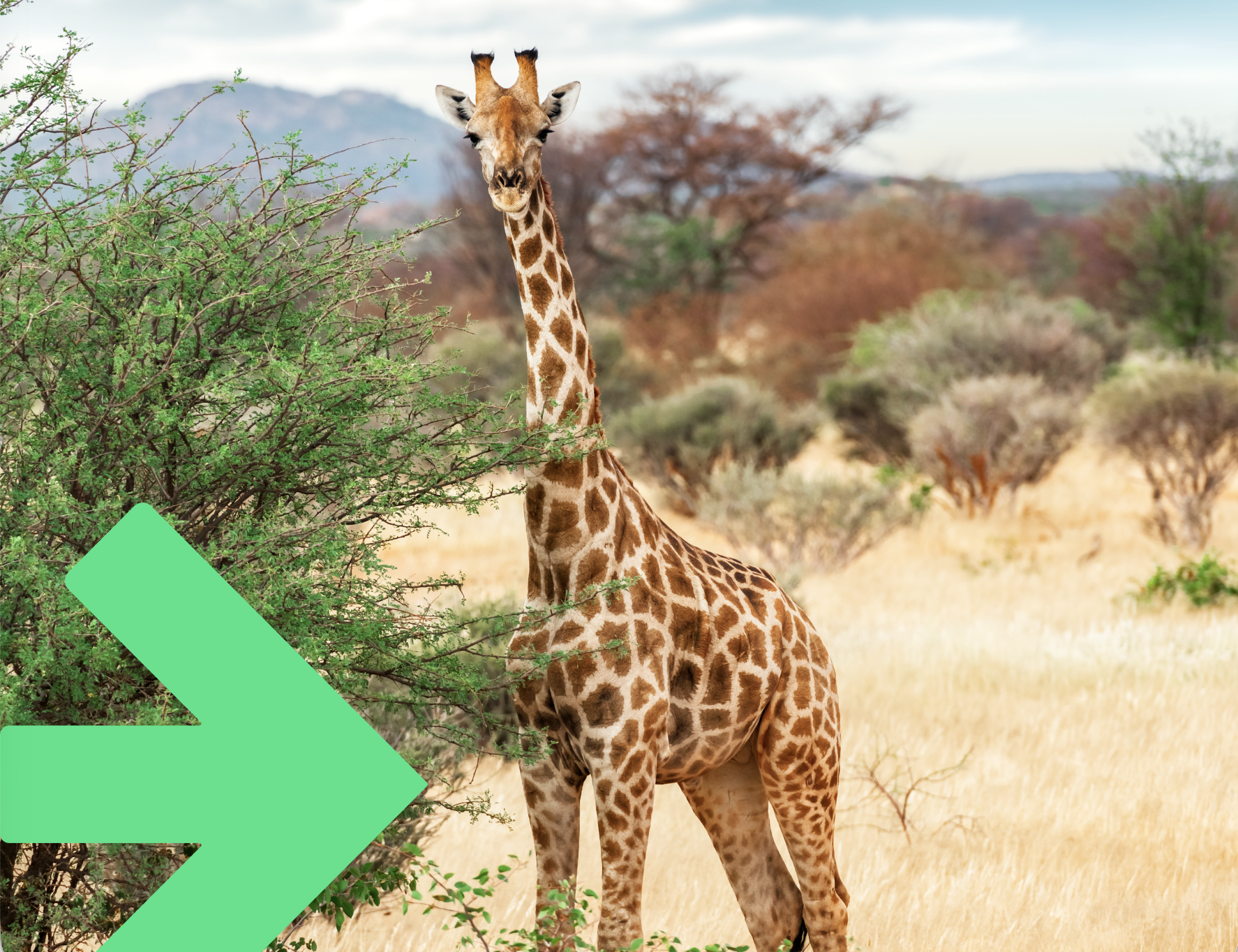 Feedback Training - Communicating to Connect